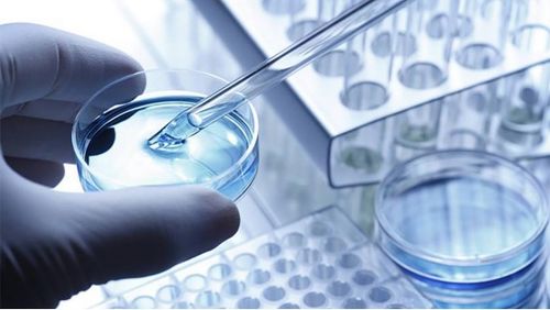 龍池牡丹 緊抓二產(chǎn)，深挖科研，以技術(shù)服務(wù)驅(qū)動(dòng)牡丹精品駛?cè)胧袌?chǎng)藍(lán)海