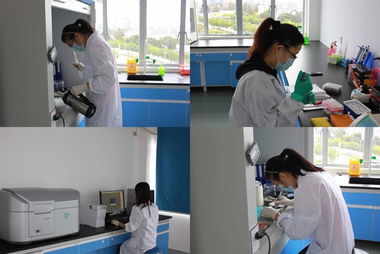 歐易訪談 專注生物技術(shù)服務(wù)，以技術(shù)開發(fā)驅(qū)動(dòng)質(zhì)量與體驗(yàn)雙提升